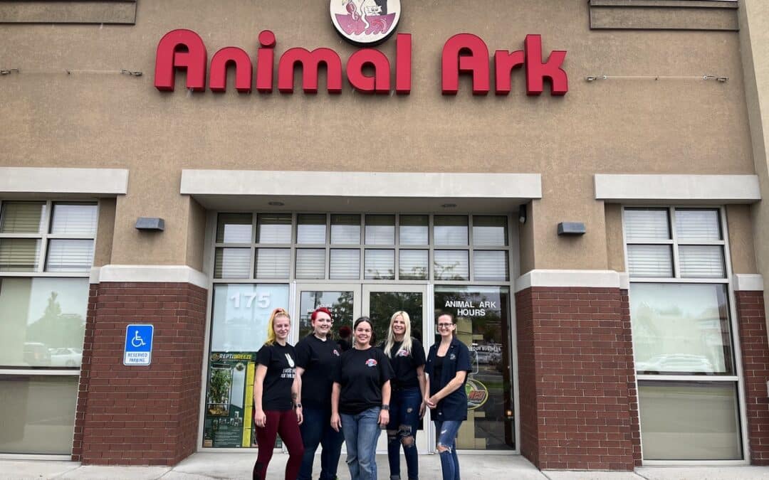 Store of the Month – October 2022