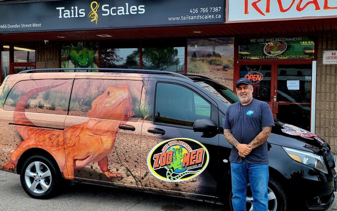 Store of the Month – November 2022