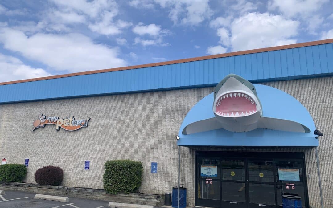 Store of the Month – May 2024