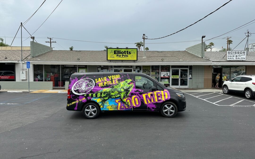 Store of the Month – August 2024