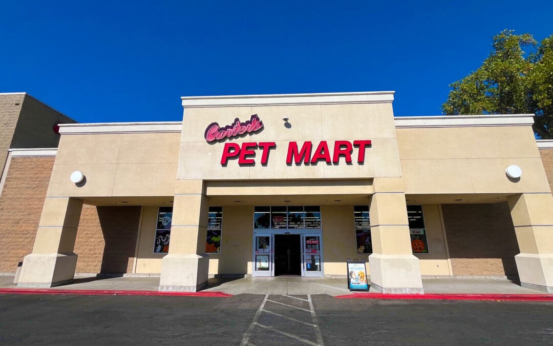 Store of the Month – October 2024