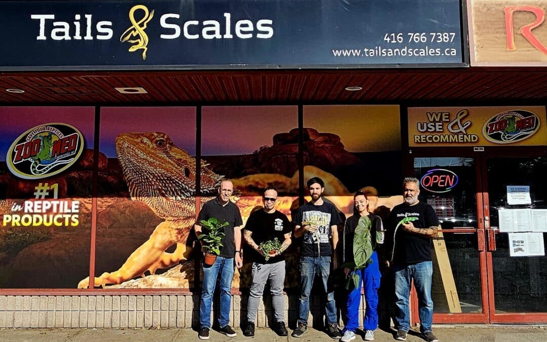 Store of the Month – November 2024