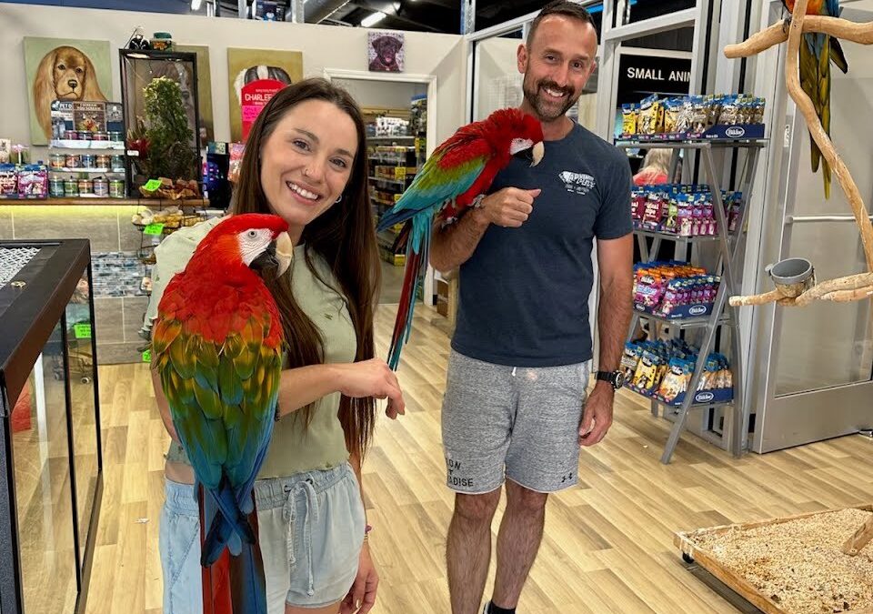 Store of the Month – December 2024