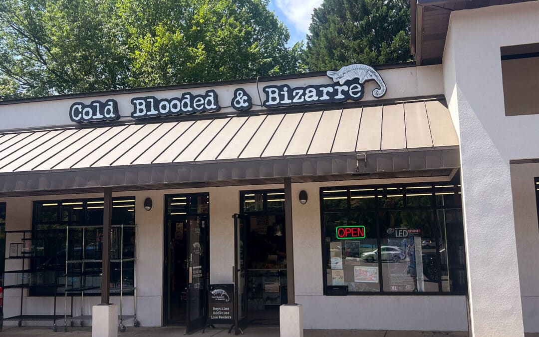 Store of the Month – July 2025