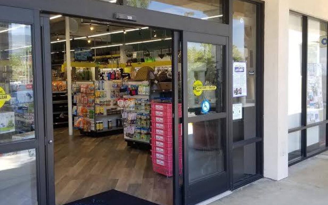 Store of the Month – August 2025