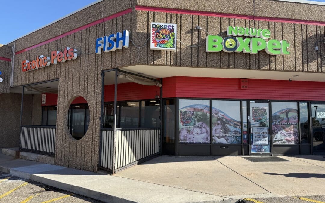 Store of the Month – October 2025