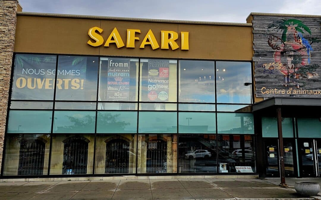 Store of the Month – November 2025