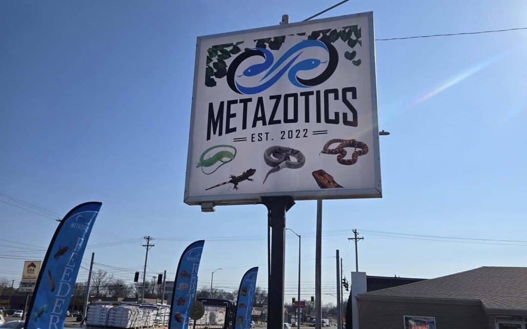 Store of the Month – December 2025