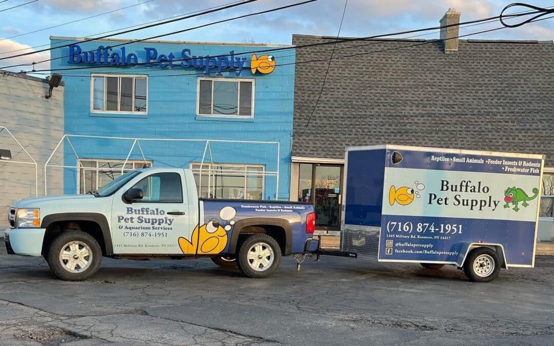 Store of the Month – May 2025