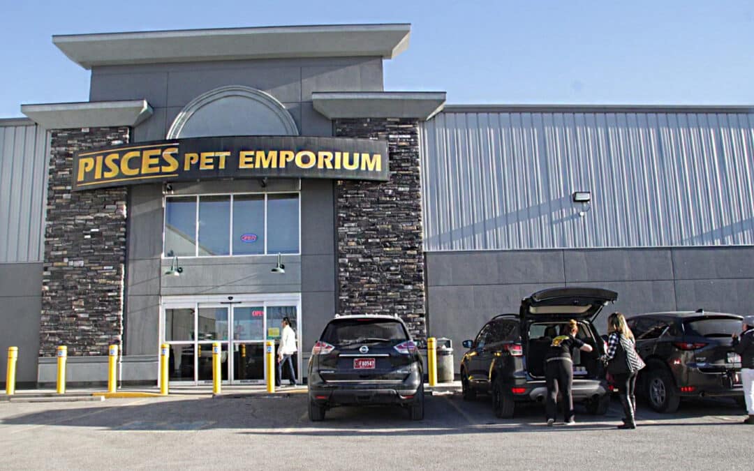 Store of the Month – January 2026