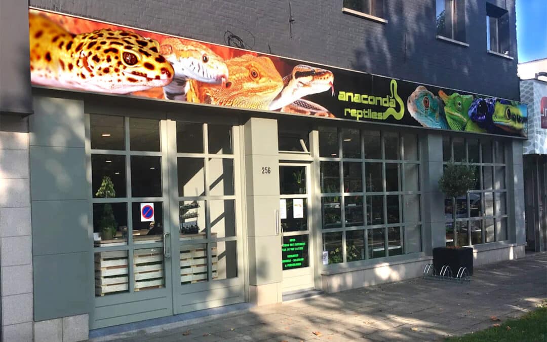 Store of the Month – February 2026