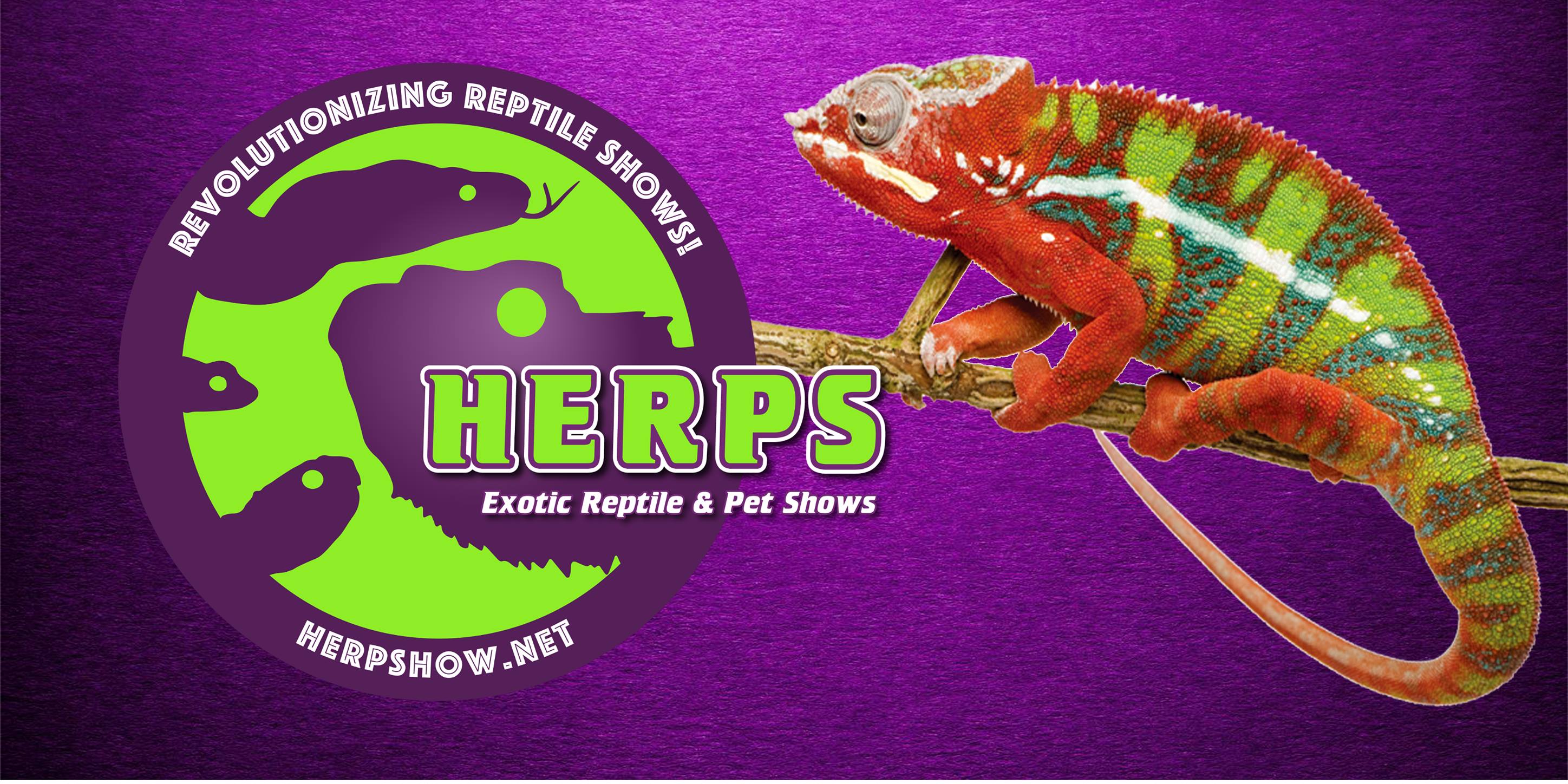 Herps Exotic Reptile Pets Show Zoo Med Laboratories Inc
