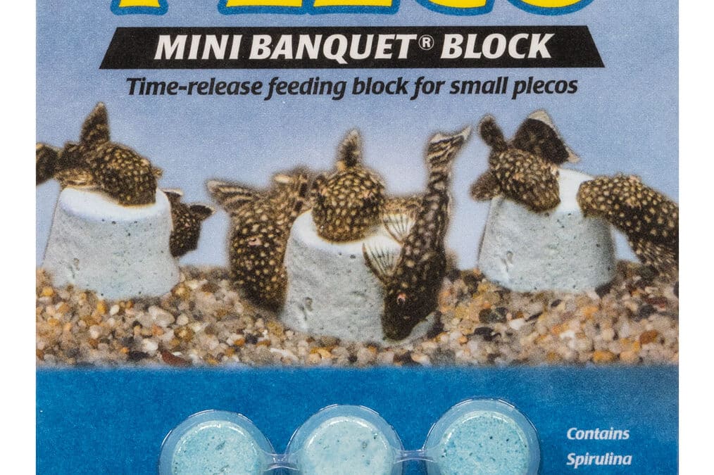 Pleco Mini Banquet&reg; Block