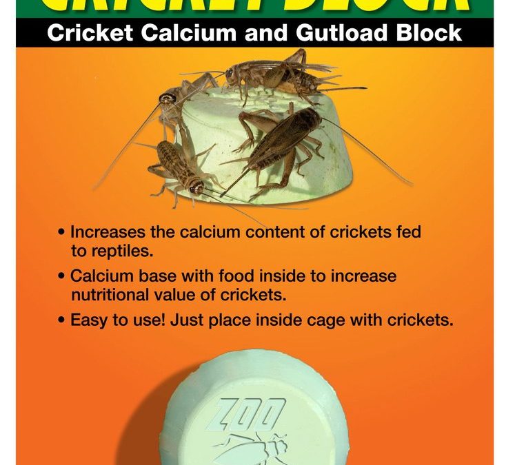 Cricket Block – Cricket Calcium and Gutload Block