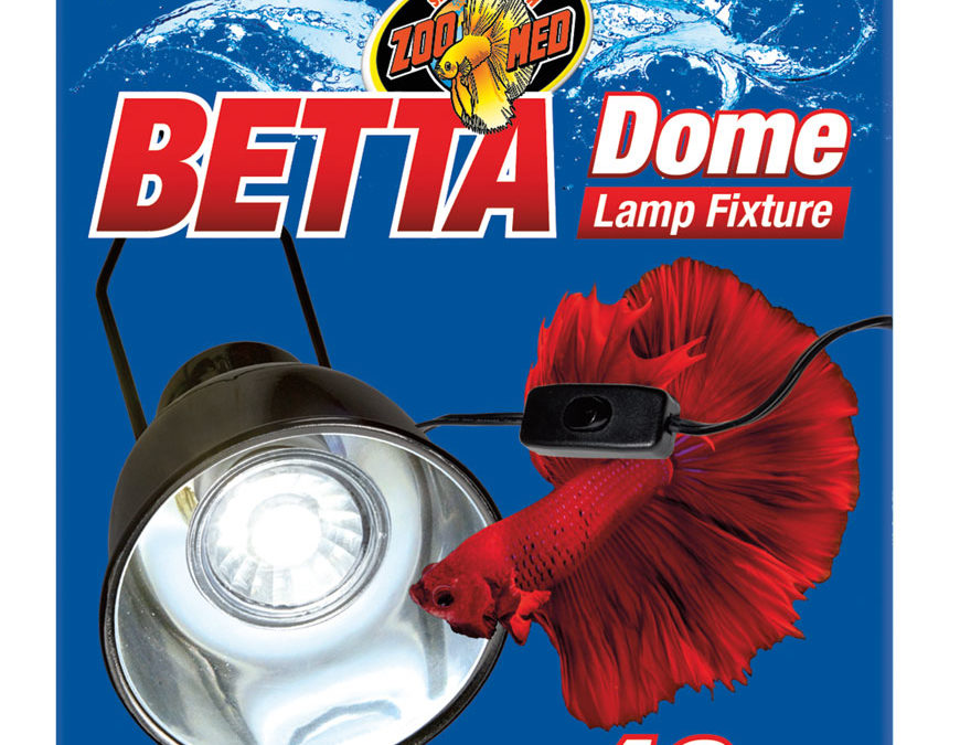 Betta Dome Lamp Fixture