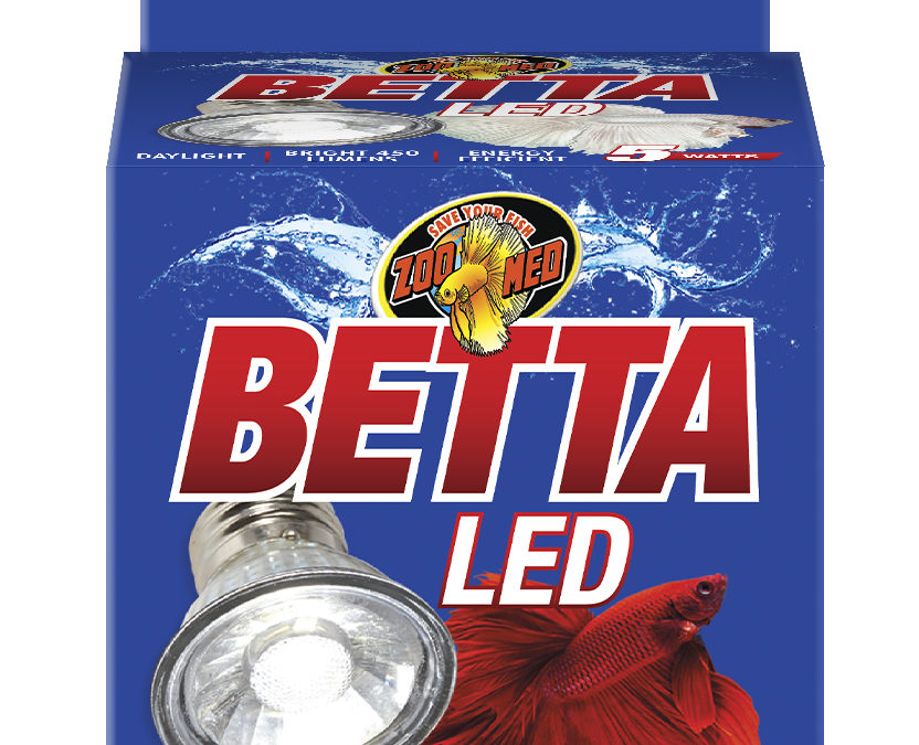 Betta LED Lamp