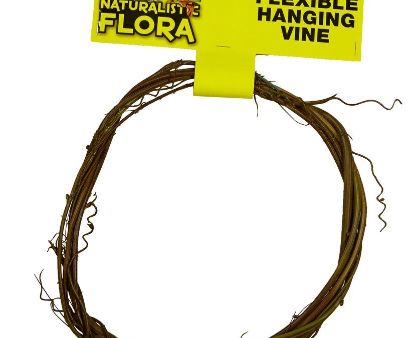 Naturalistic Flora™ – Flexible Hanging Vine