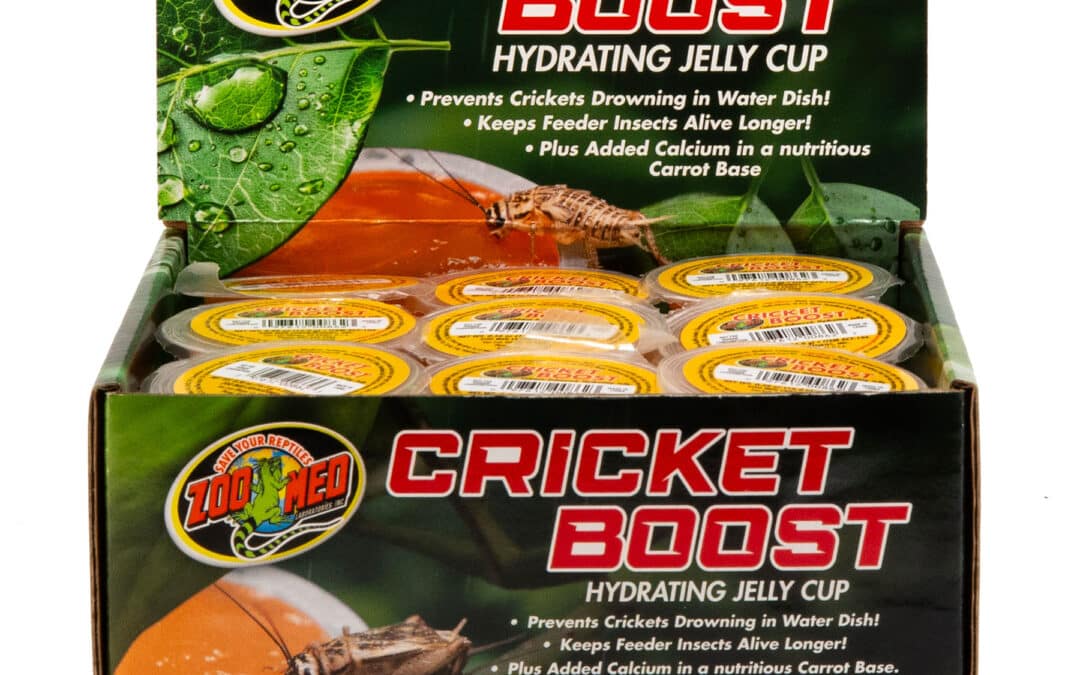 Cricket Boost Hydrating Jelly Cup