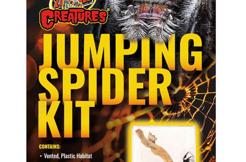 Jumping Spider Kit
