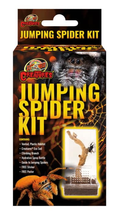 Jumping Spider Kit | Zoo Med Laboratories, Inc.