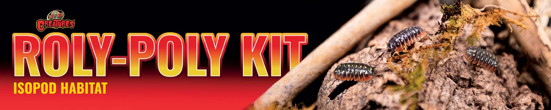 Creatures® Roly-Poly Kit – Isopod Habitat | Zoo Med Laboratories, Inc.
