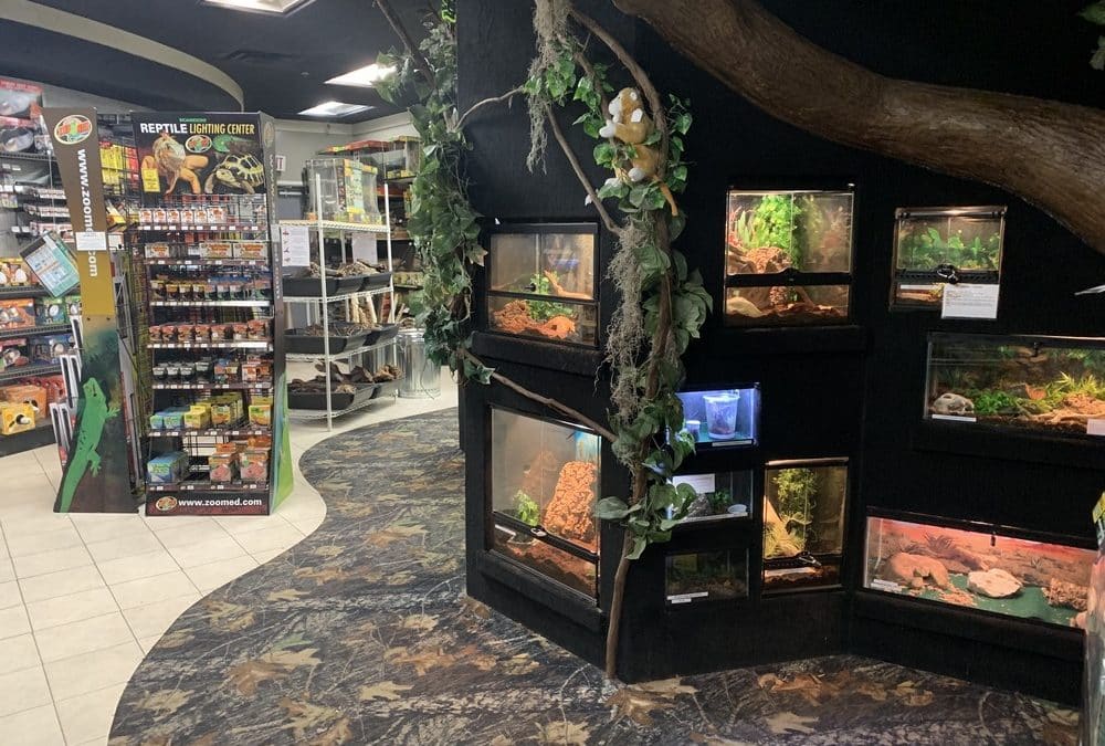 Store of the Month – May 2019