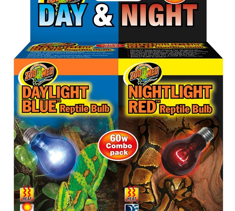 Day & Night Reptile Bulb Combo Pack