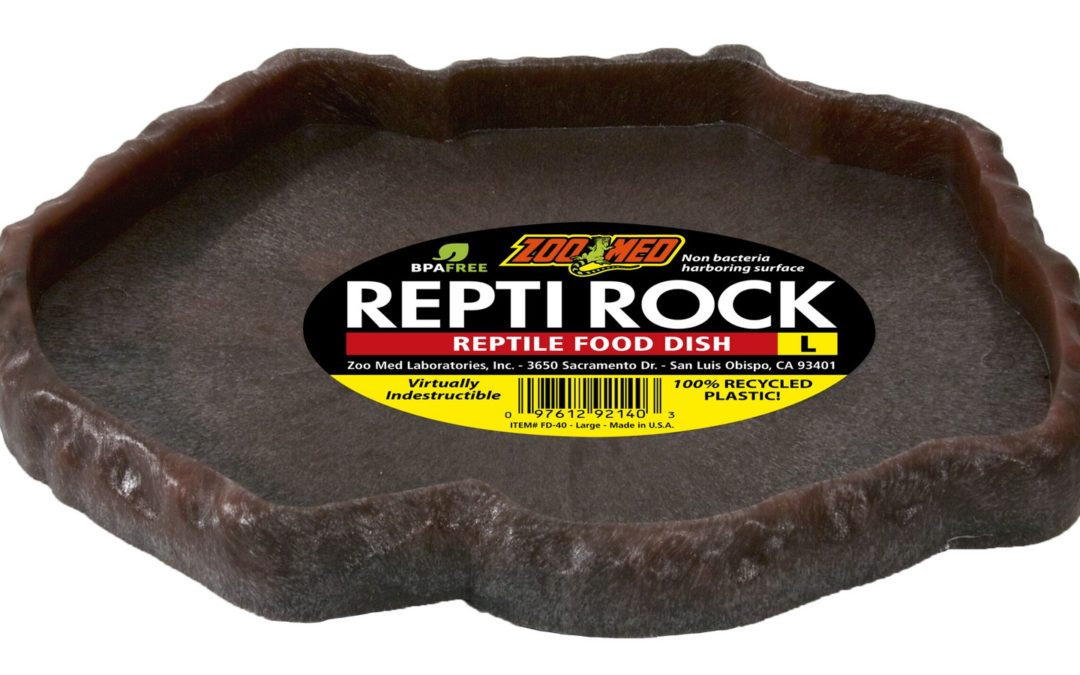Repti Rock Food Dish