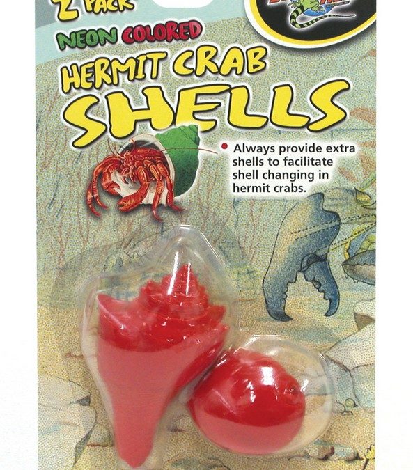 Hermit Crab Shells