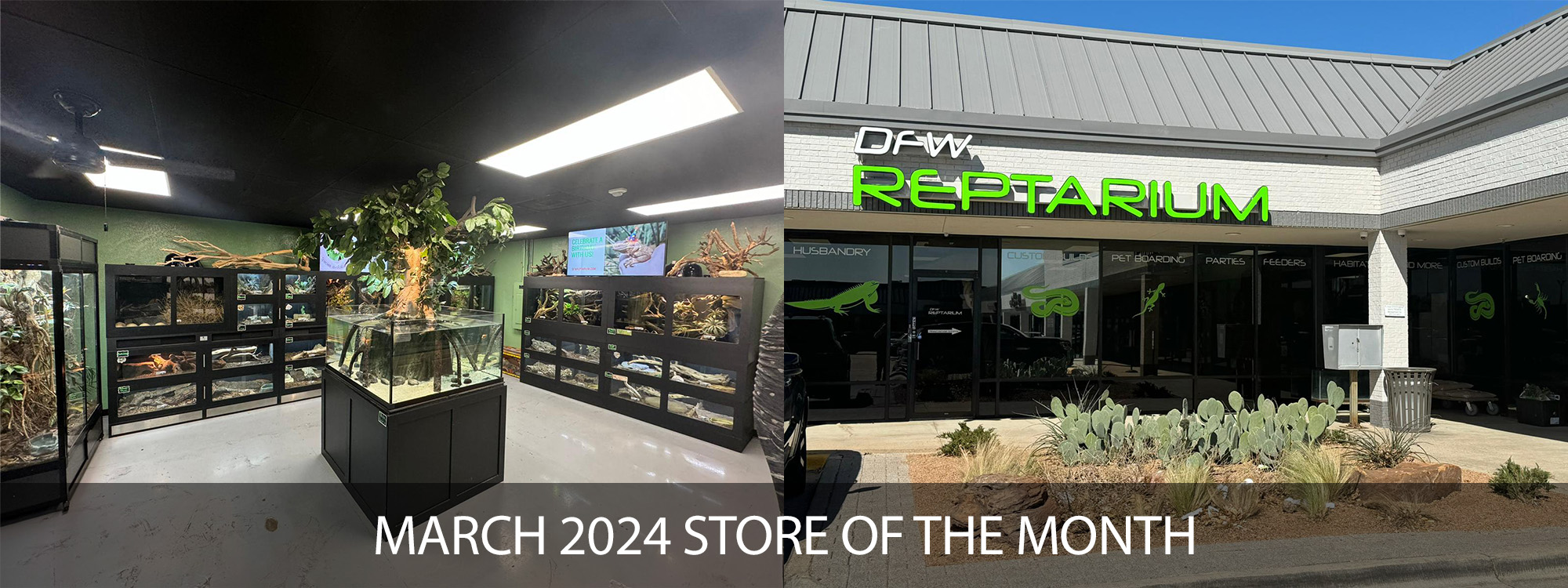 Zoo Med's Store of the Month