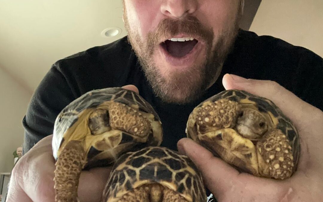 Ryan Westbrook – I LOVE TURTLES!