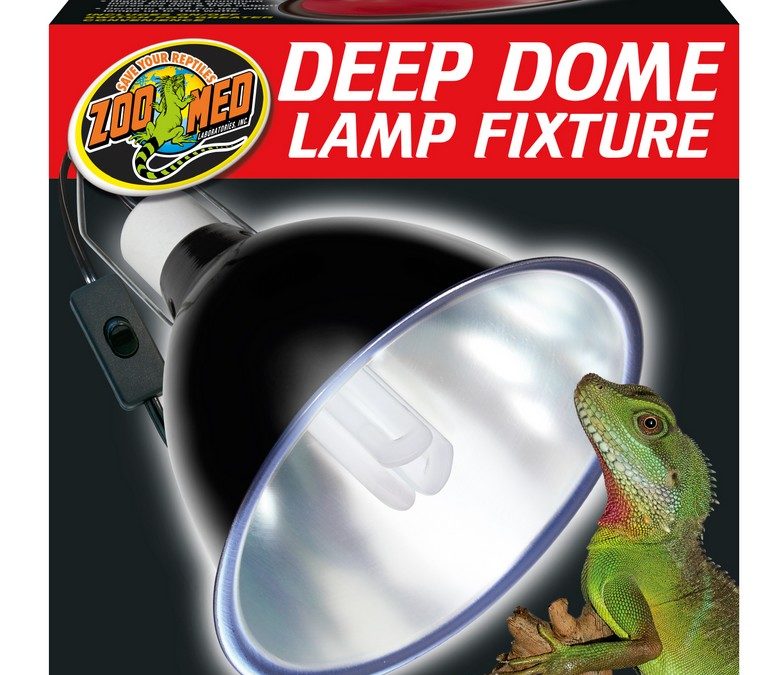 Deep Dome Lamp Fixture