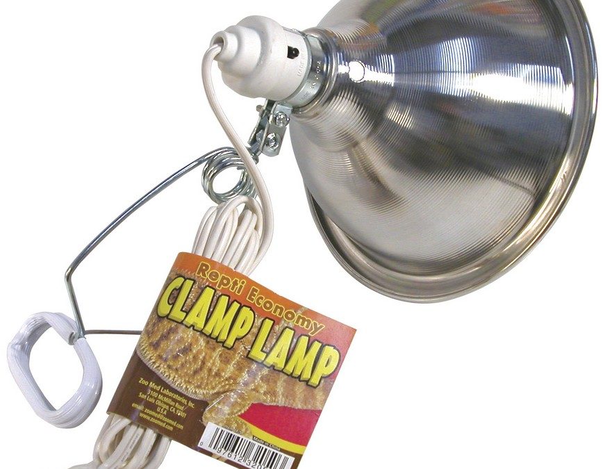 Repti Economy Clamp Lamp