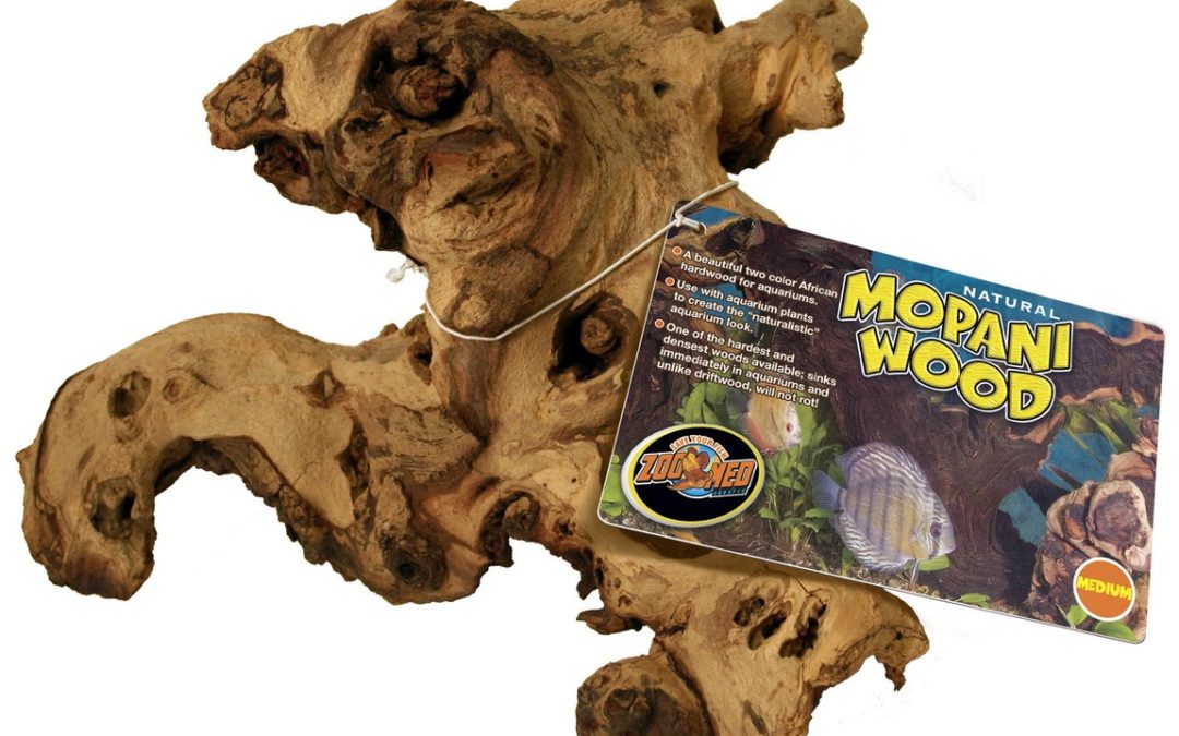 Mopani Wood – Aquarium