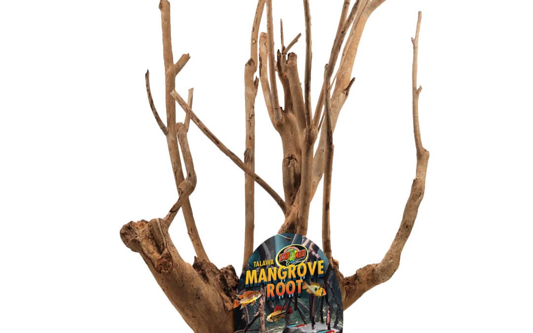 Talawa Mangrove Root