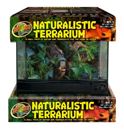 Naturalistic Terrarium