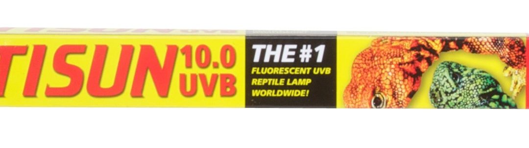 T8 ReptiSun® 10.0 UVB