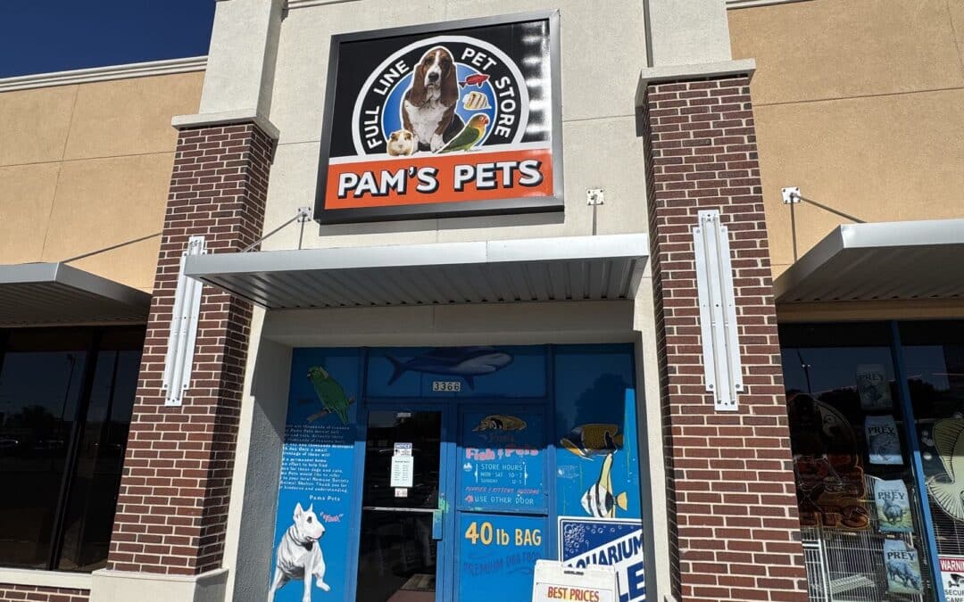 Store of the Month – February 2025