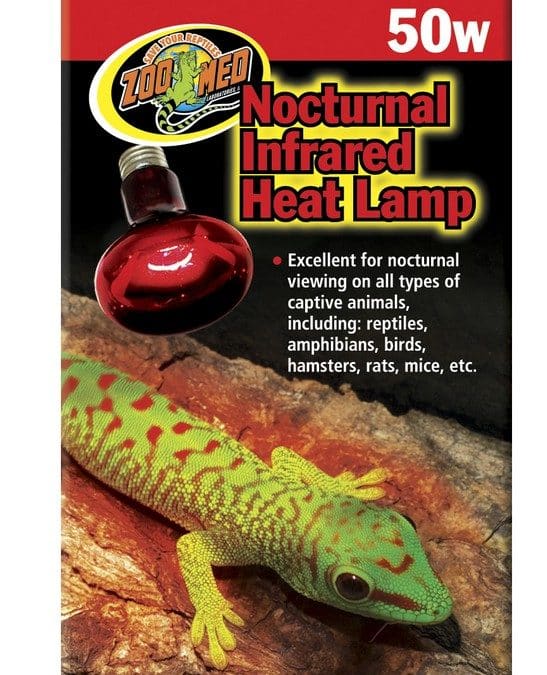 Nocturnal Infrared Heat Lamp