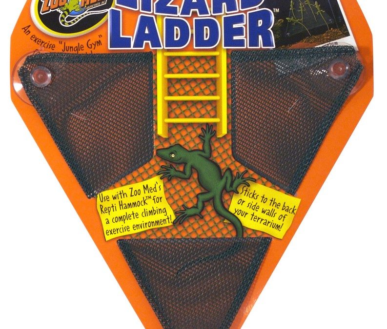 Lizard Ladder™