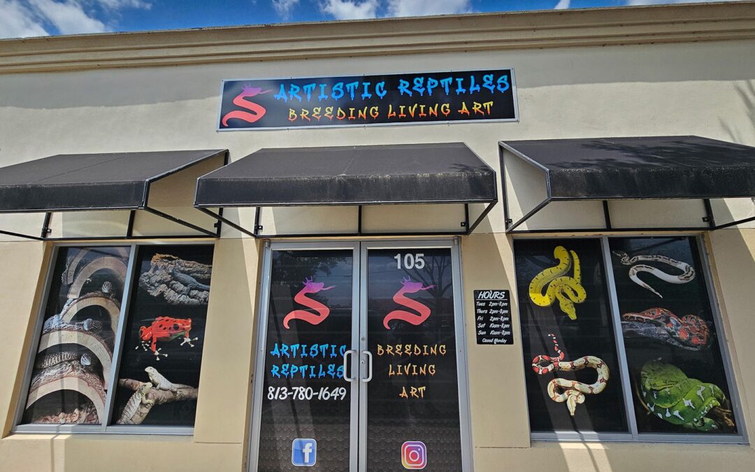 Store of the Month – June 2024