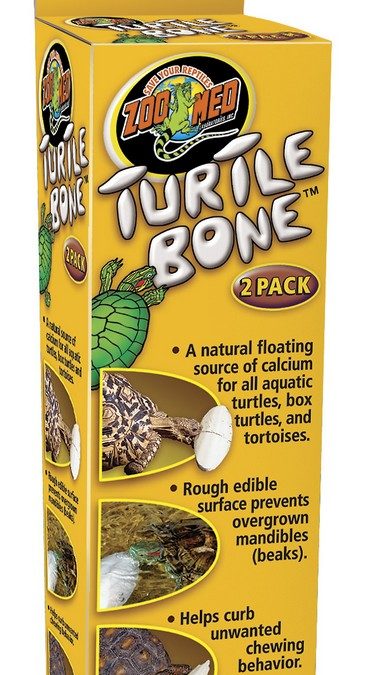Turtle Bone