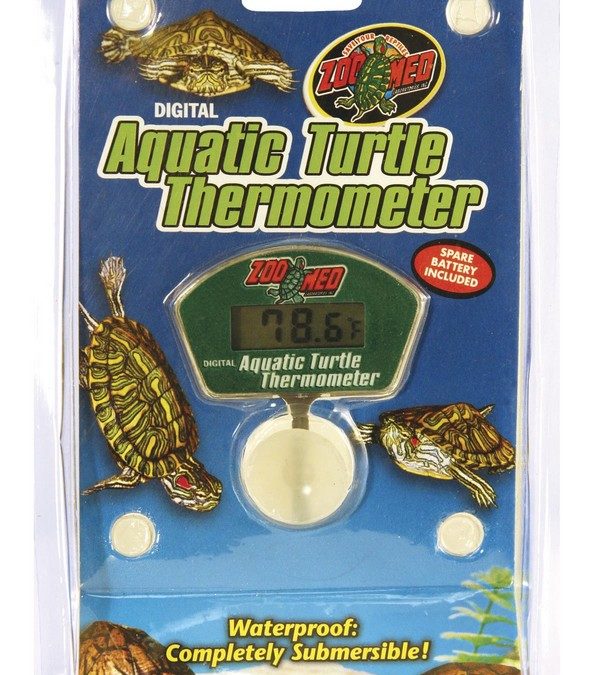 Aquatic Turtle Thermometer