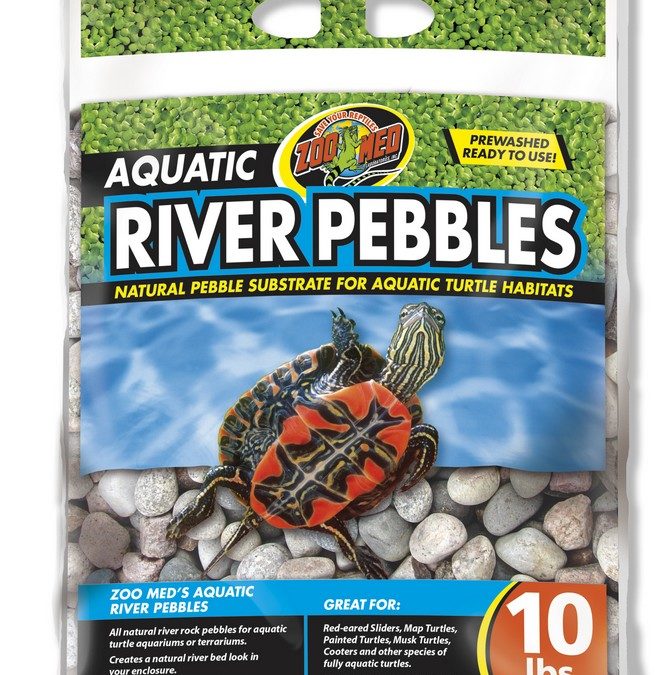 Aquatic River Pebbles