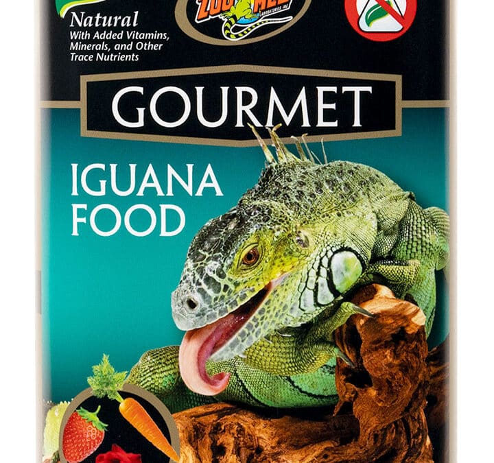 Gourmet Iguana Food