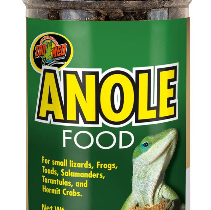 Anole Food