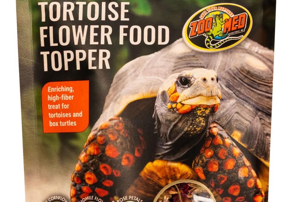 Tortoise Flower Food Topper