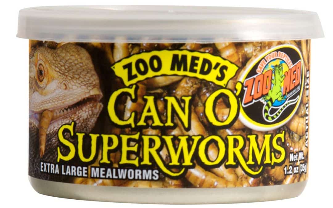 Can O’ Superworms