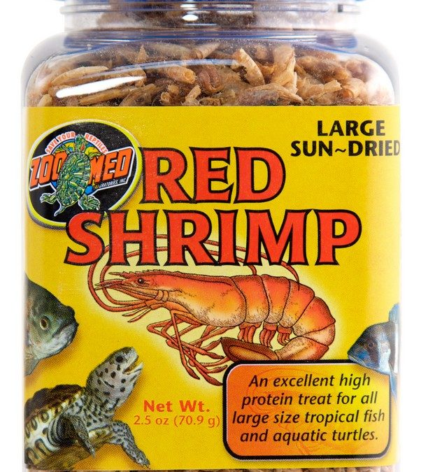Red Shrimp