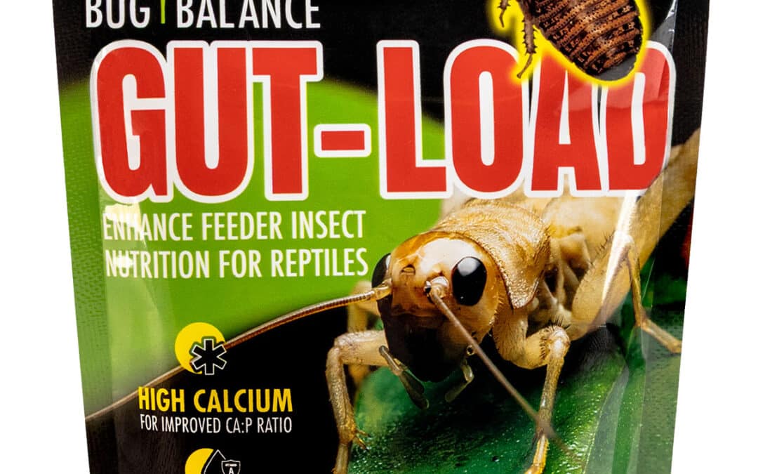 Bug Balance Gut-Load